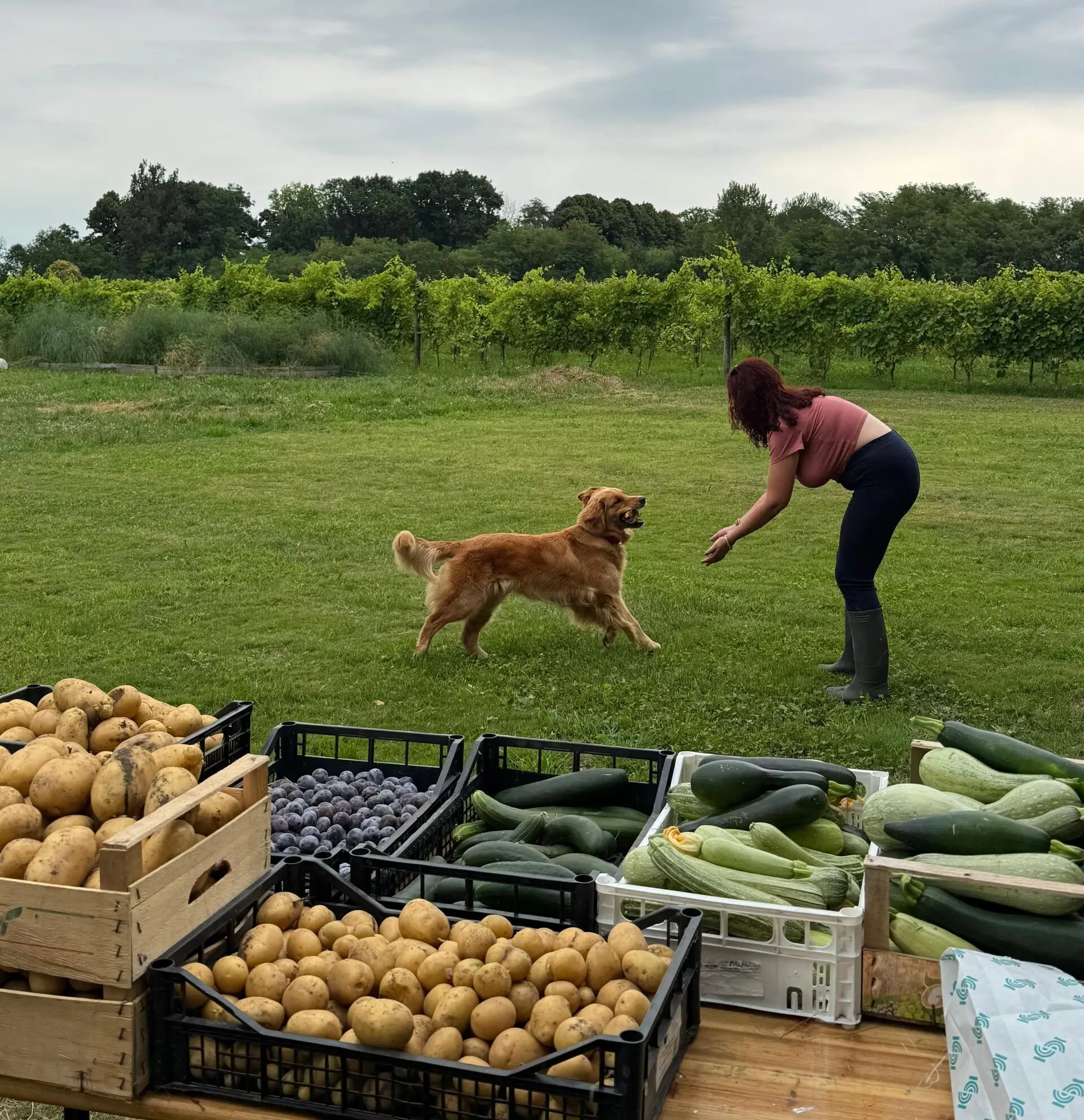 Foto Coorto 23